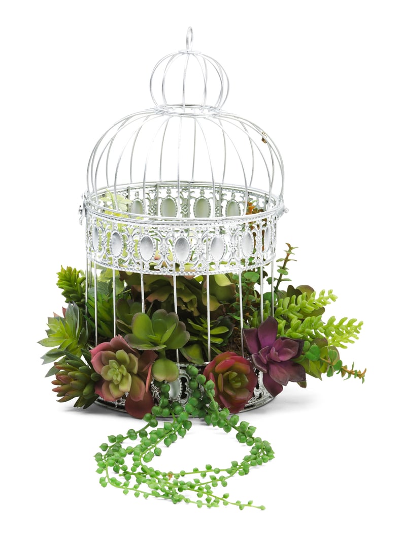 Alex & Zoe Wire Birdcage With Hanging Succulents