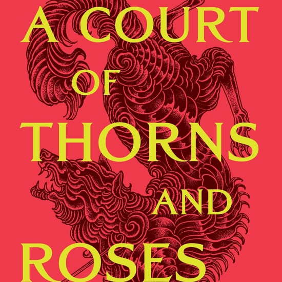 27 Books Like A Court of Thorns and Roses