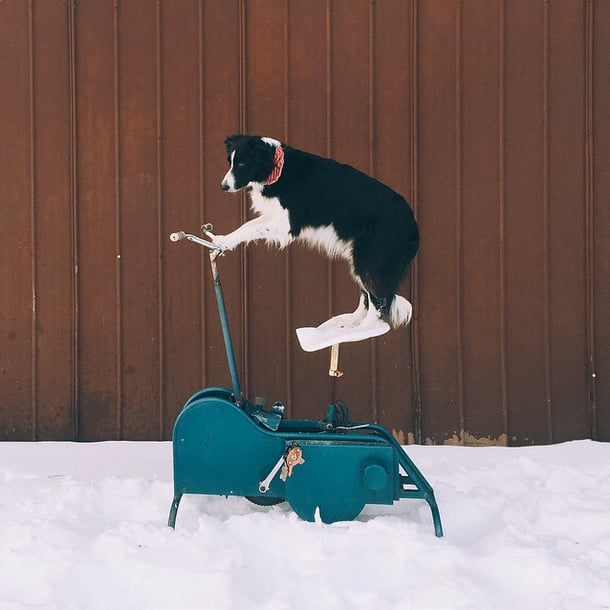 This Instagram Account Is the New Where's Waldo