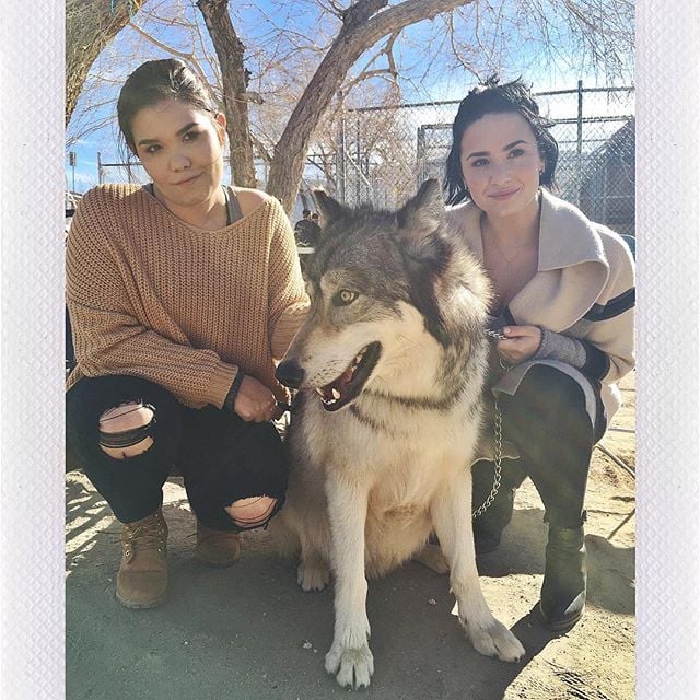 Wilmer Valderrama Spends His Birthday With Wolves