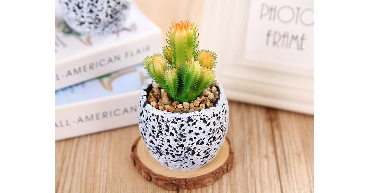 Siluker Artificial Succulent Plant Best Fake Plants POPSUGAR Home
