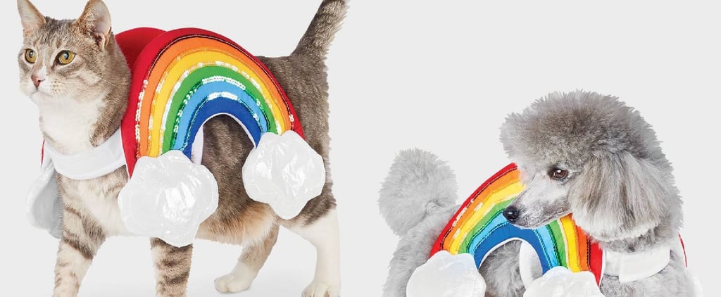 Pet Halloween Costumes For Cats and Dogs at Target 2020