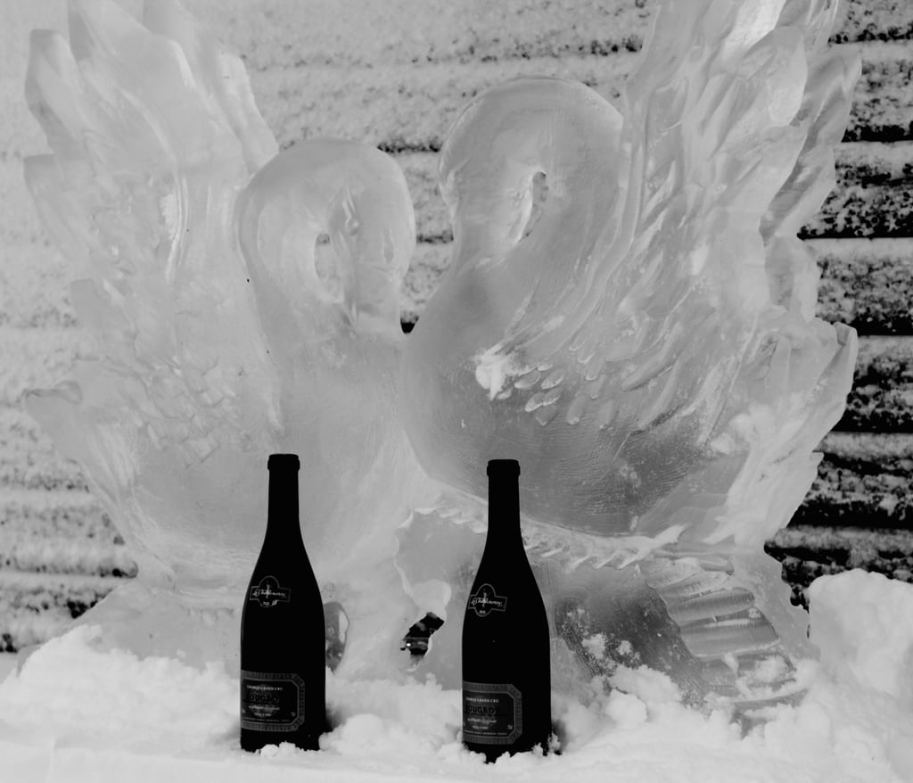 Beyonce and Jay Z's Holiday Pictures in Iceland