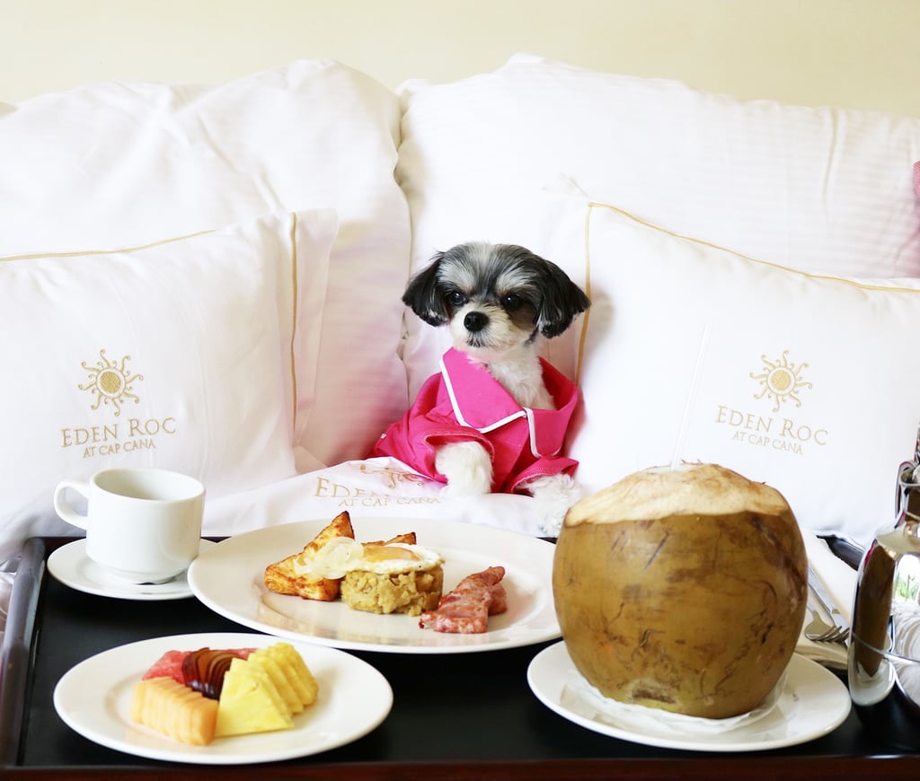 My first morning, I received a traditional Dominican breakfast in bed. Talk about #foodie photo worthy!