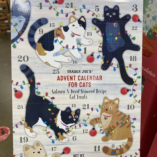 Trader Joe's Advent Calendars For Cats 2020