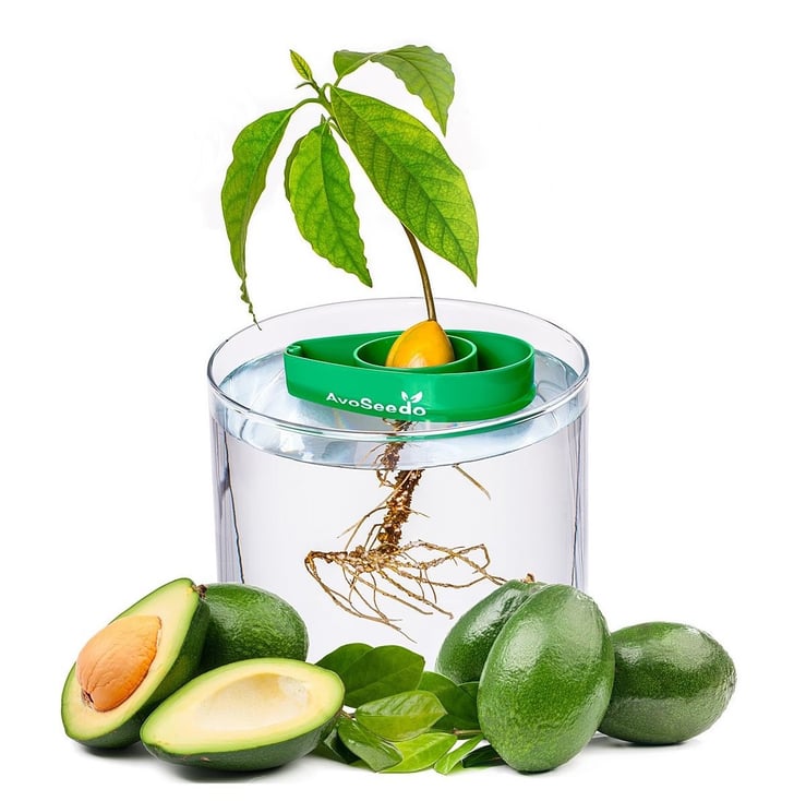 uncommon goods mothers day