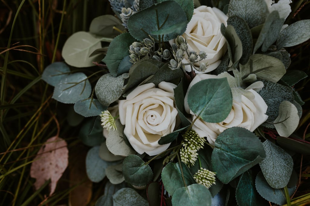 Olympic National Park Elopement Pictures