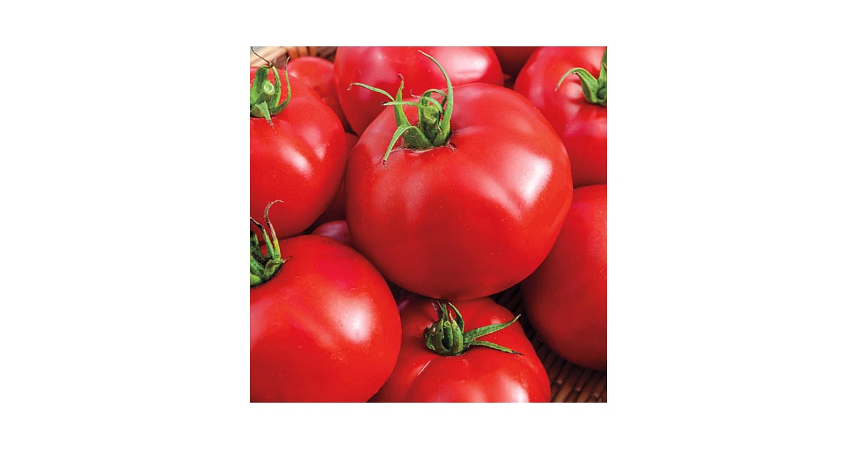 Gurney's Seed & Nursery Co. Big Beef Hybrid Tomato Plant Where to Buy