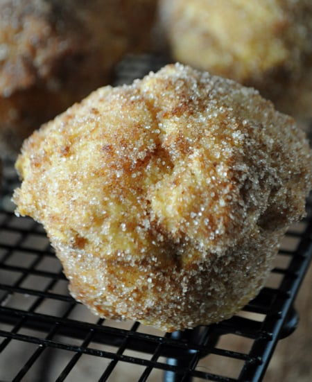 Pumpkin Donut Muffins