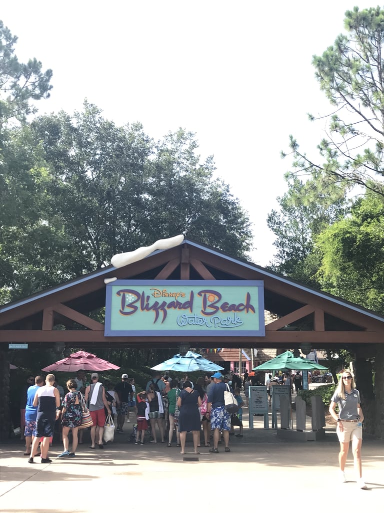 Spend a Day at the Disney Water Parks