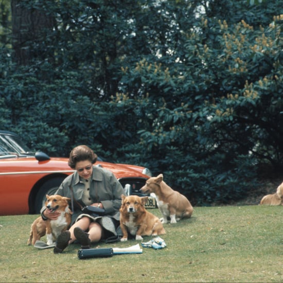 Why Did Queen Elizabeth Have So Many Corgis?