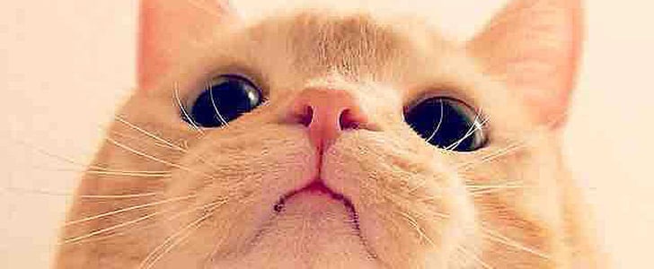 Selfie Picture Trick