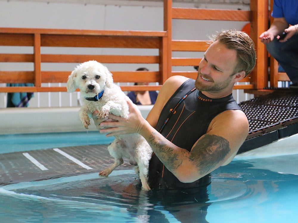 Pictures of Dogs Swimming | Finding Fido