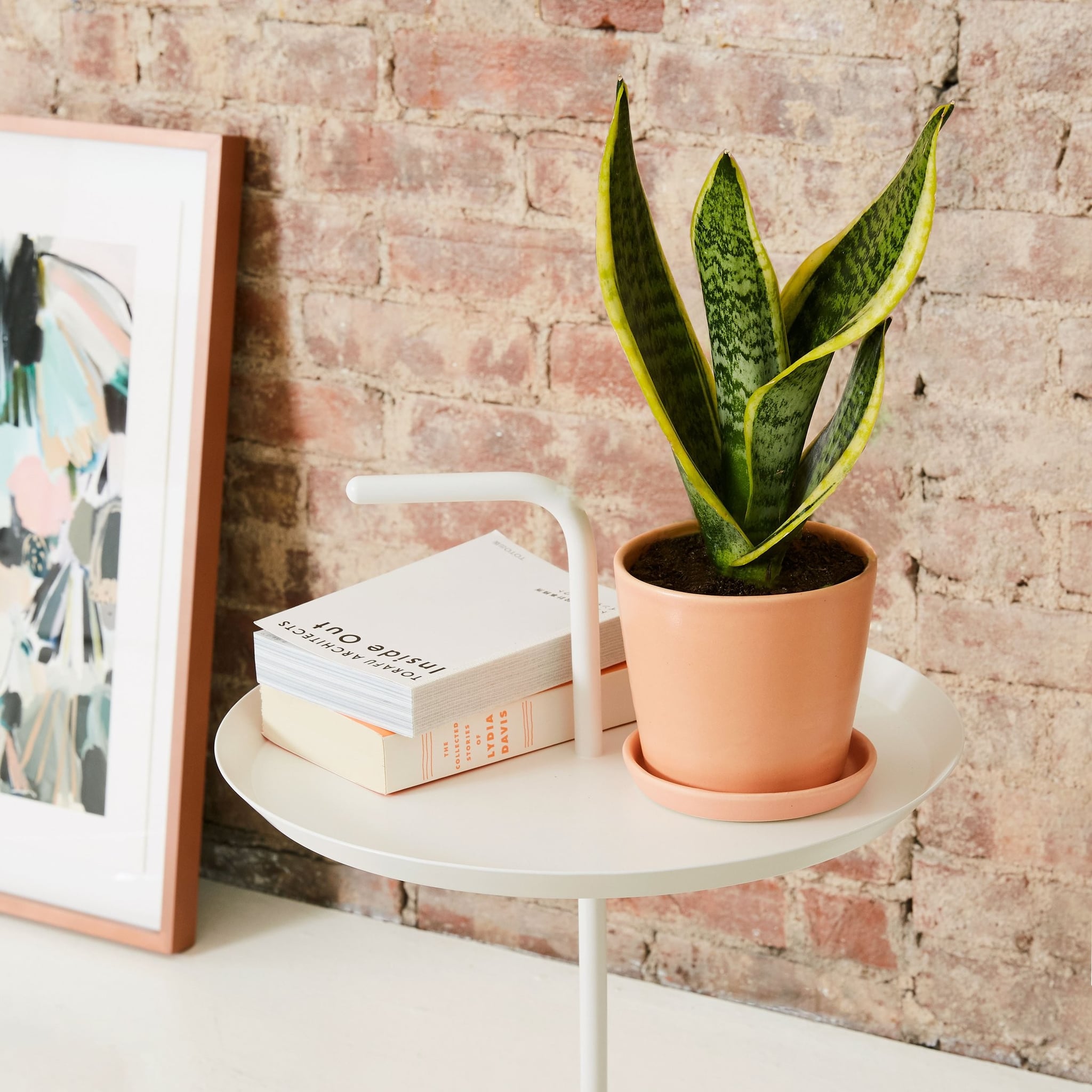 Best Houseplants For Bathrooms Popsugar Home