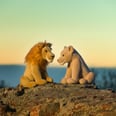 Oh I Just Can’t Wait to Be King of the Stuffed Animals With This Build-A-Bear Lion King Collection