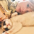 Taylor Swift's Family Just Got a New Addition, and OMG, He's So Cute!