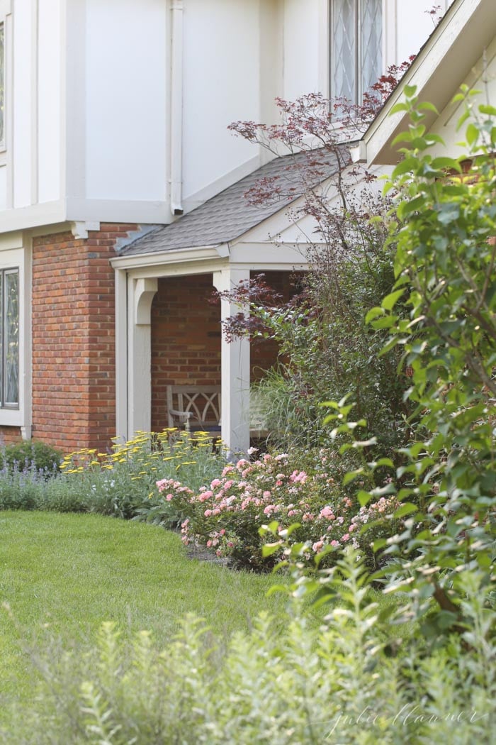 How to Keep Deer Out of Your Yard POPSUGAR Home