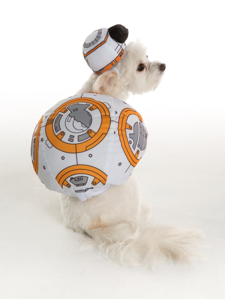 BB-8 of Star Wars