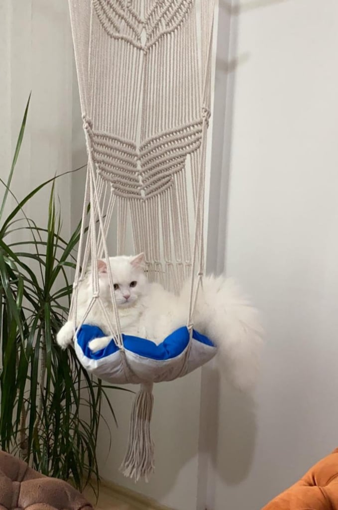 ShinyMoonLight Macrame Cat Hammock