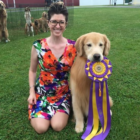 Show Dogs Die in Hot Truck in Indiana