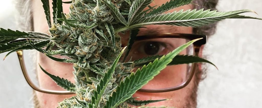 Details About Seth Rogen's Weed Company, Houseplant