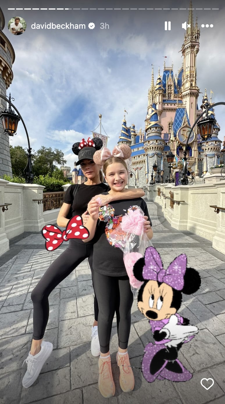 David, Victoria Beckham Take Family to Disney World