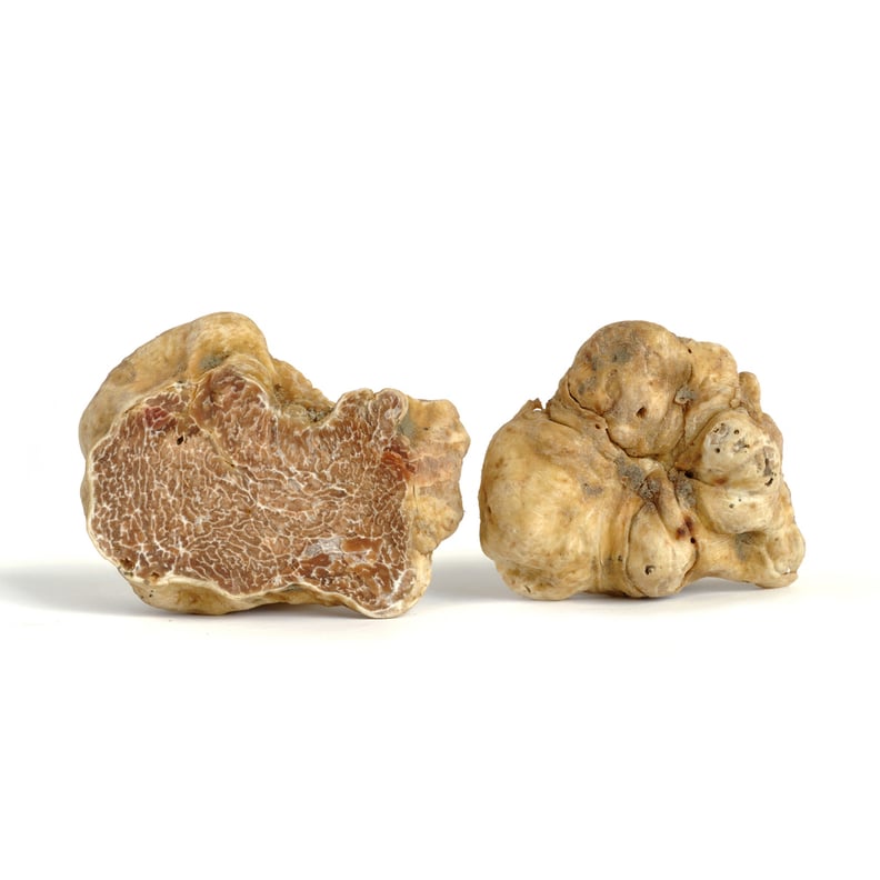 Mikuni Wild Harvest White Alba Truffle