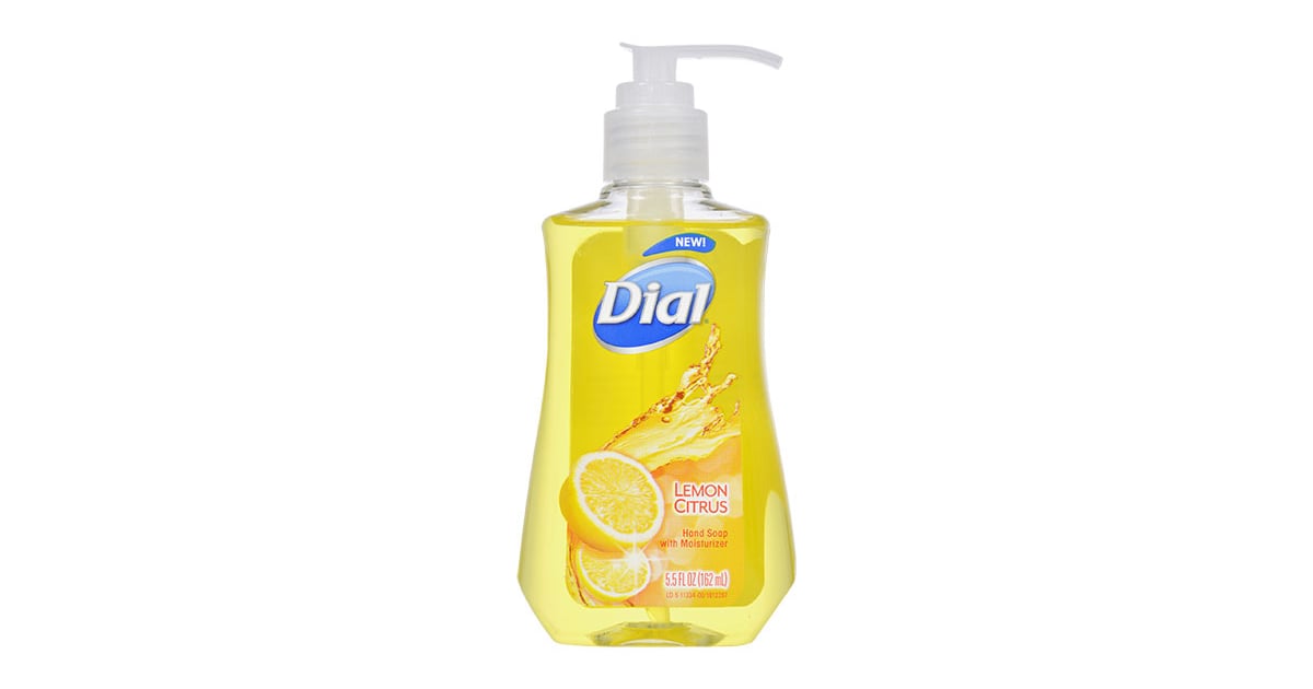 Dial Lemon Citrus Hand Soap With Moisturizer (1 each) Best Things at