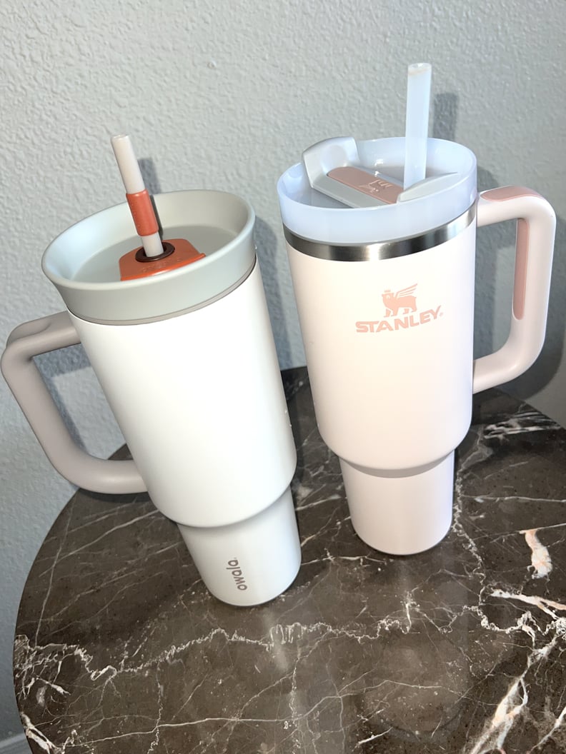 The Best 40 oz Tumbler With a Handle vs The Stanley Tumbler – Owala