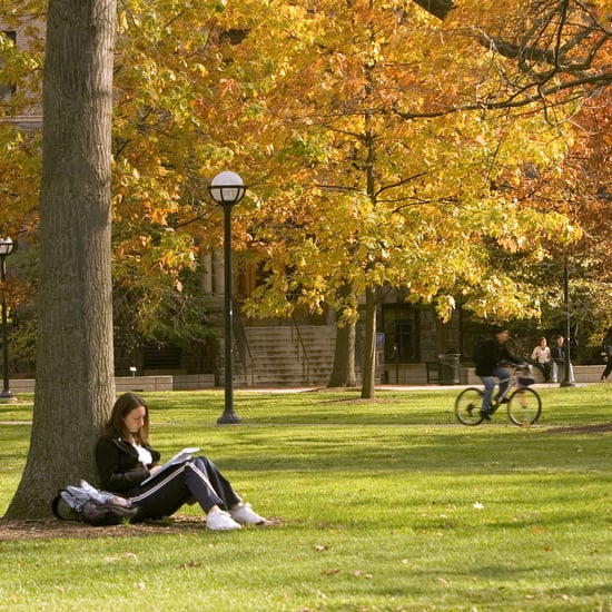 A Love Letter to My College That Might Close Down