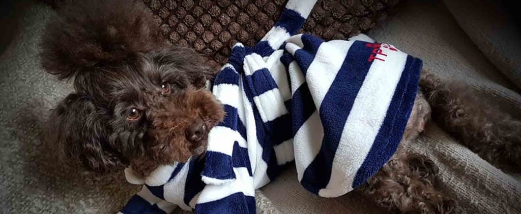 Matching Robes For Dogs and Humans on Etsy