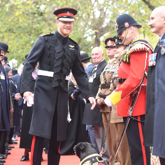 Prince Harry Visiting the Field of Remembrance 2017