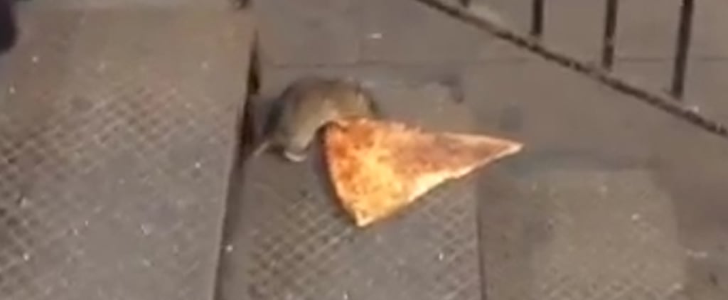 Pizza Rat in NYC