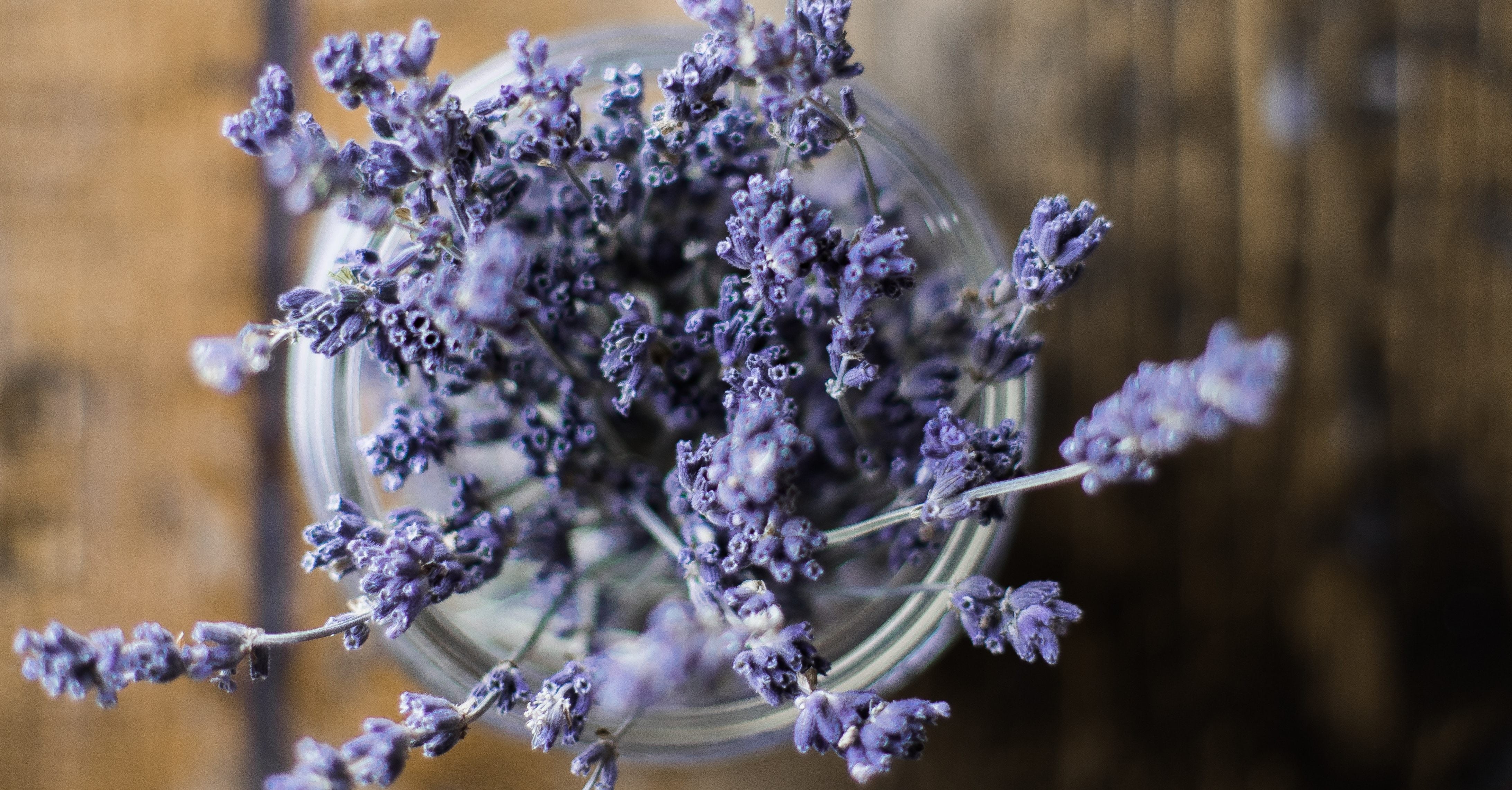 Does Lavender Help You Sleep? POPSUGAR Fitness