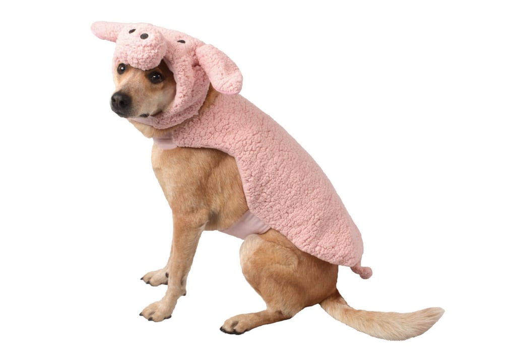 Cheap Pet Costumes POPSUGAR Smart Living