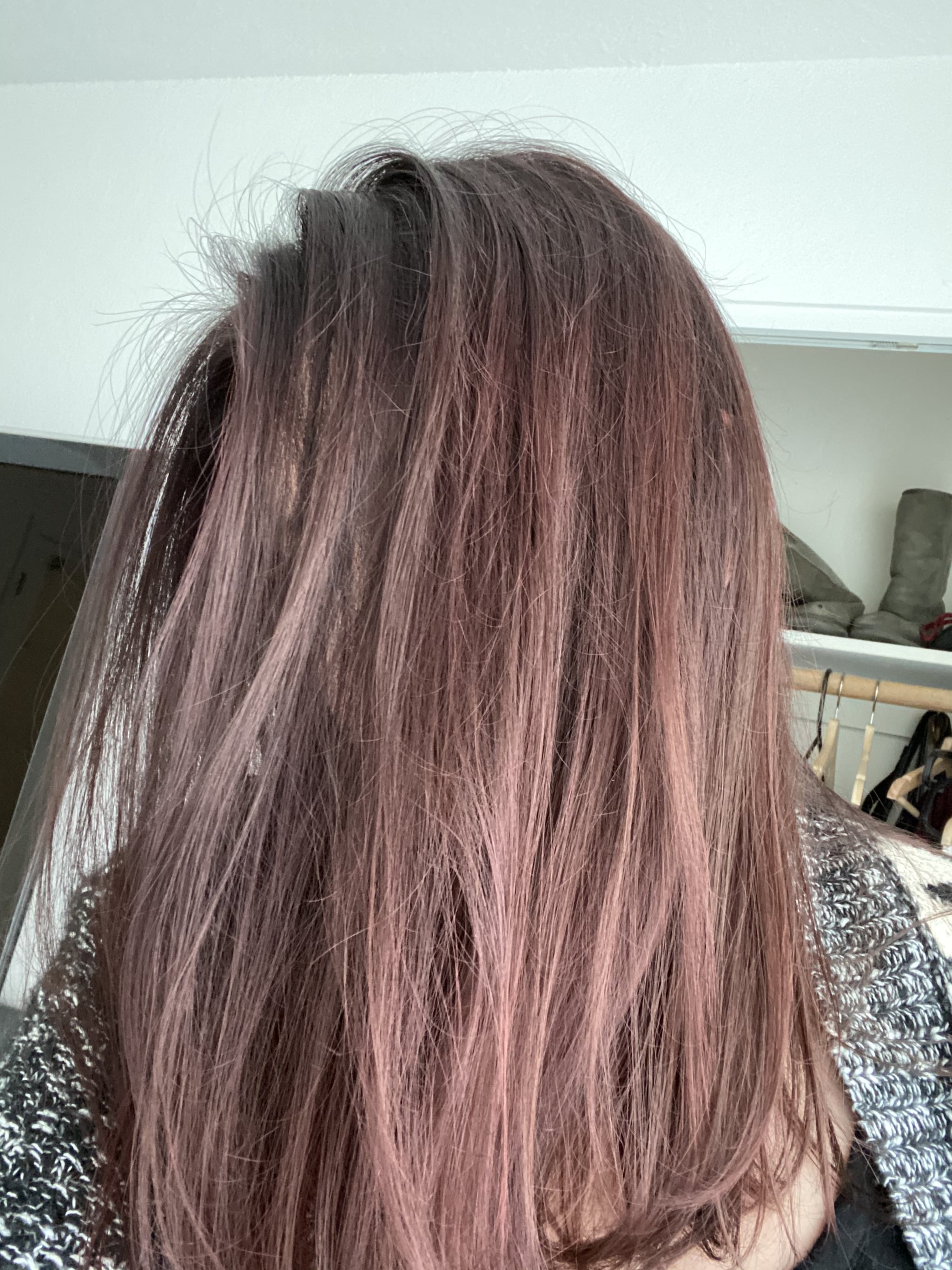 brown hair with pink highlights underneath