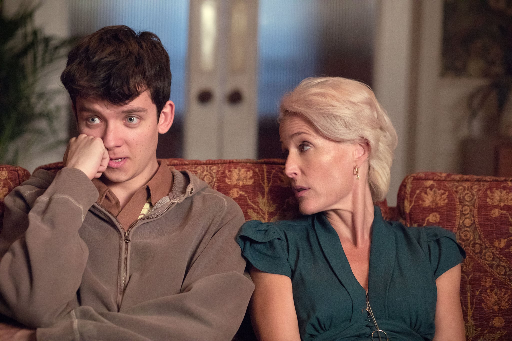 SEX EDUCATION, from left: Asa Butterfield, Gillian Anderson, (Season 1, ep. 101, airs Jan. 11, 2019). photo: Sam Taylor / Netflix  / Courtesy: Everett Collection