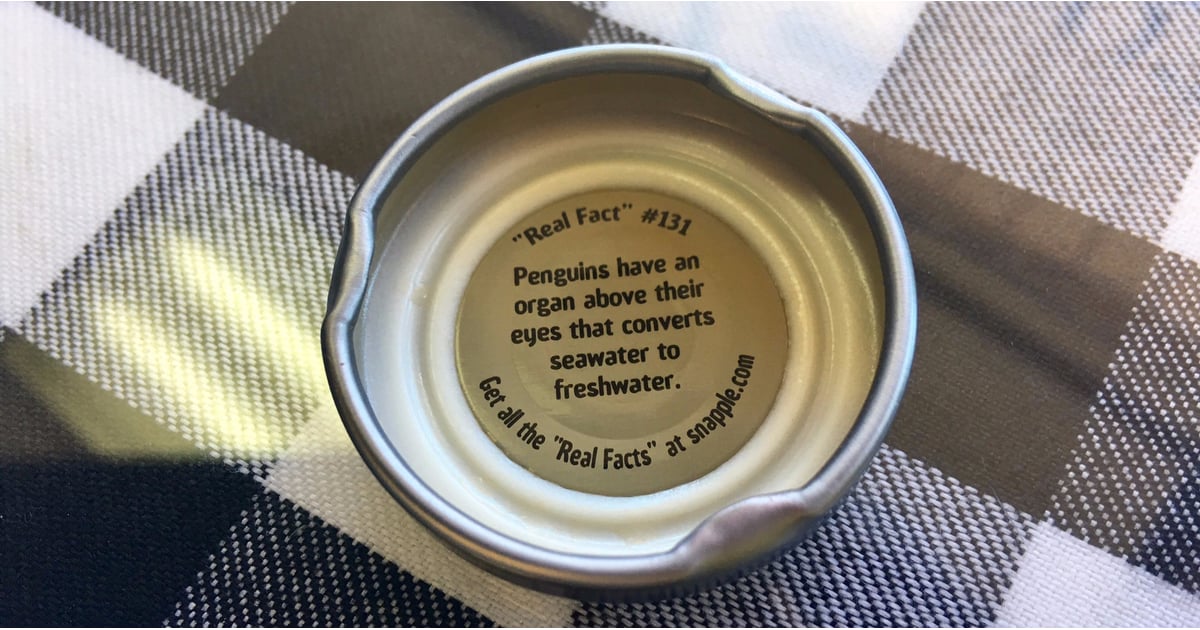 Are Snapple Facts Real? POPSUGAR Food