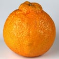 What the Heck Are Sumo Oranges, and Why Are They So Popular?