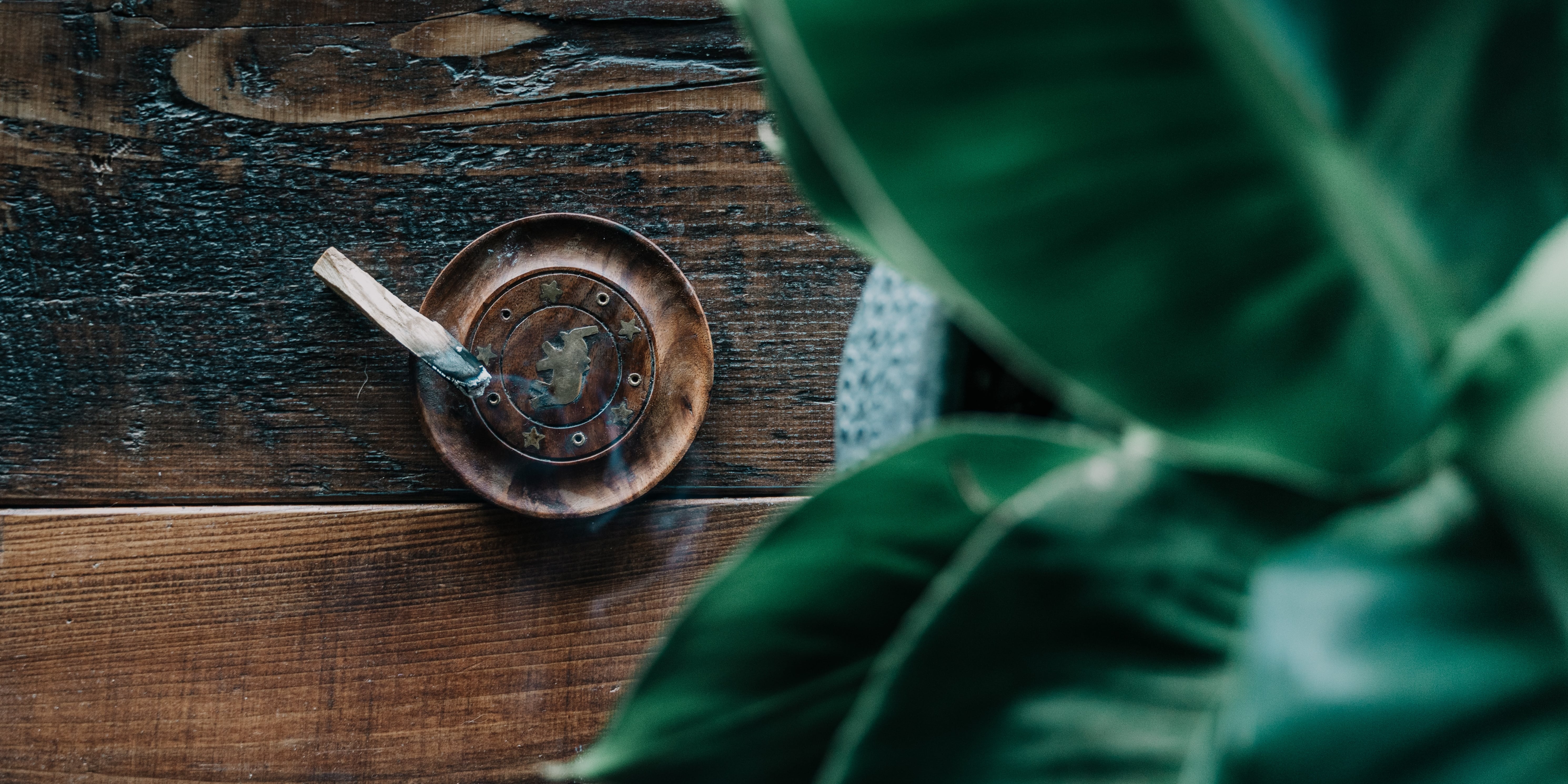 What Exactly Is Palo Santo, and How Should You Use It?