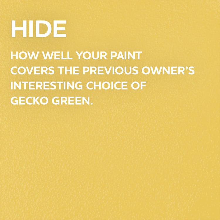 glidden hub gallery