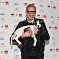 Relive 2018, Which Was Definitely the Year of Jeff Goldblum