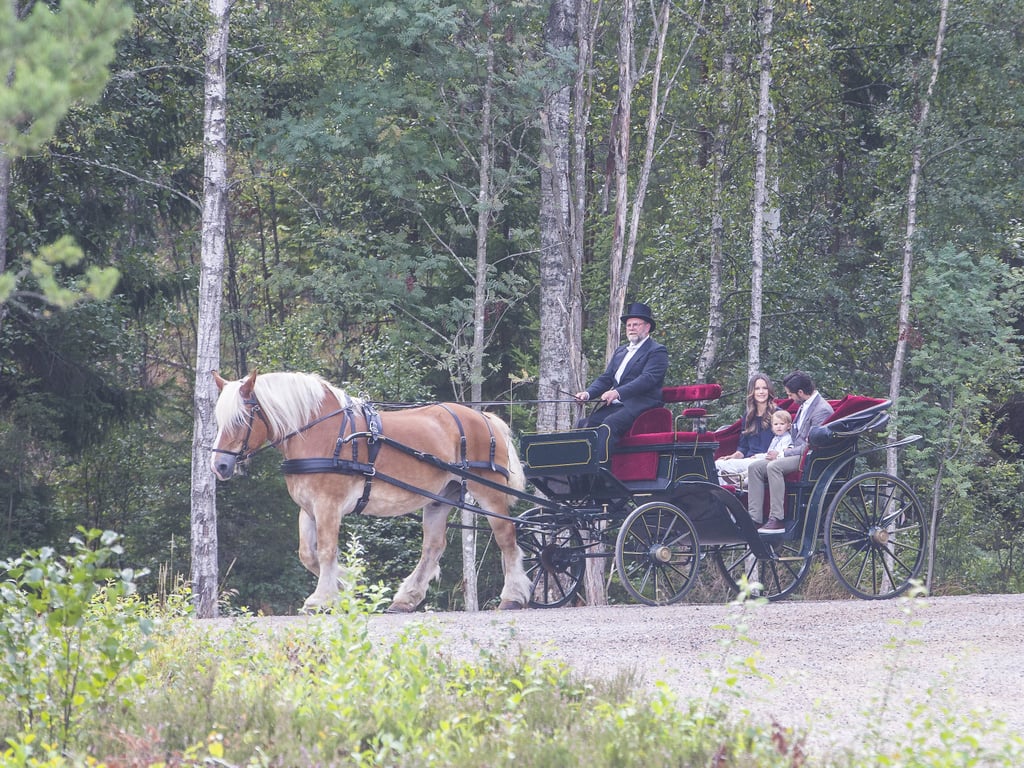 Prince Alexander's First Royal Engagement Pictures 2018