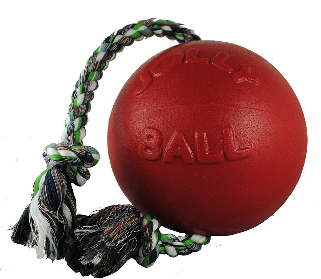 Pet Toy Ball