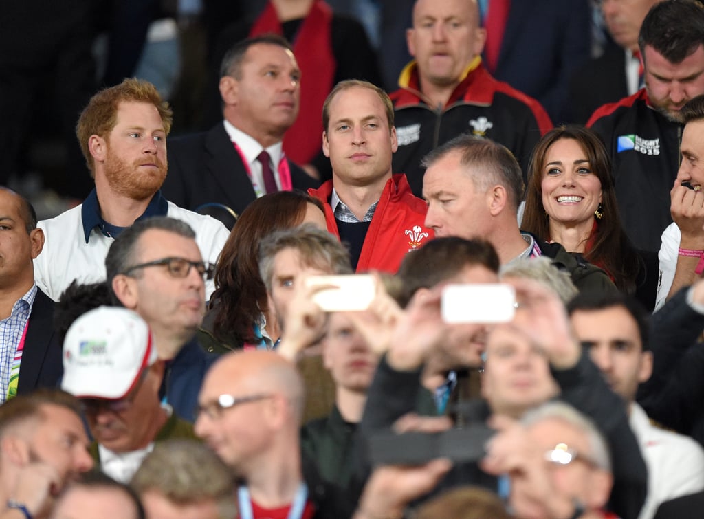 Prince Harry and Prince William at the Rugby World Cup 2015