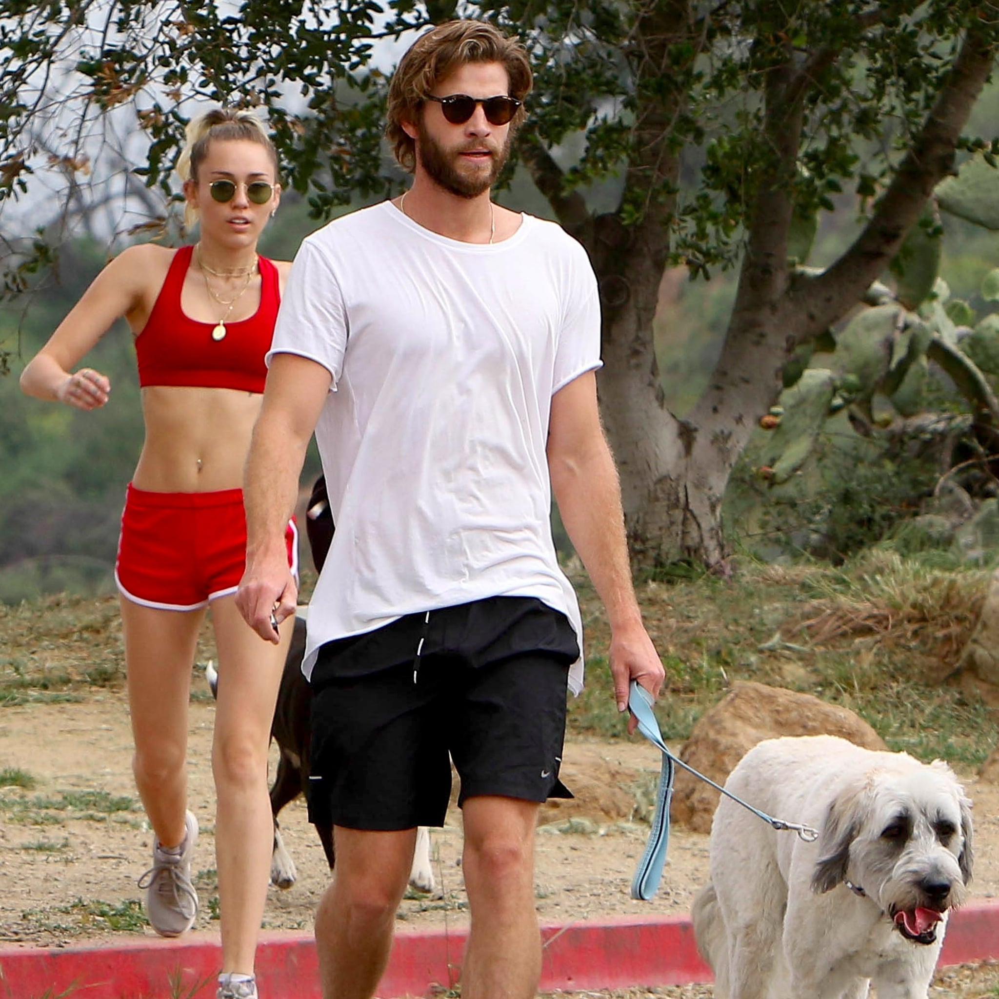 Miley Cyrus And Liam Hemsworth Hiking In La April 2017 Popsugar Celebrity miley cyrus and liam hemsworth hiking