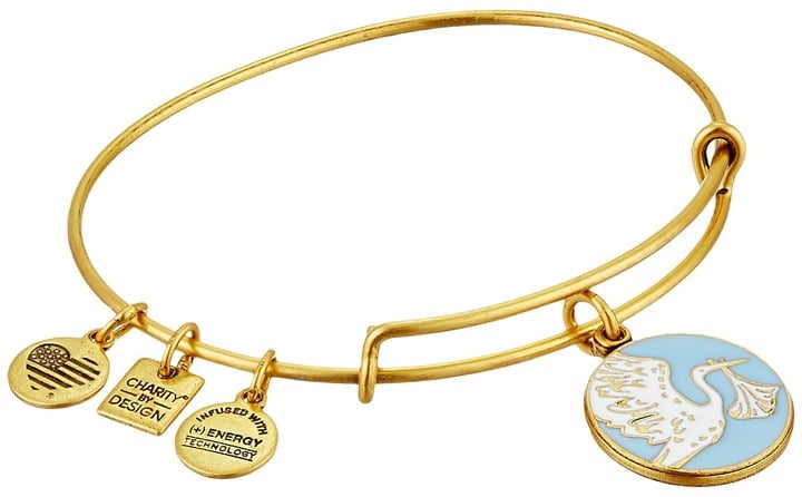 Alex and Ani Blue Special Delivery Charm Bangle ($38)