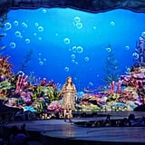 ABC's The Little Mermaid Live Pictures