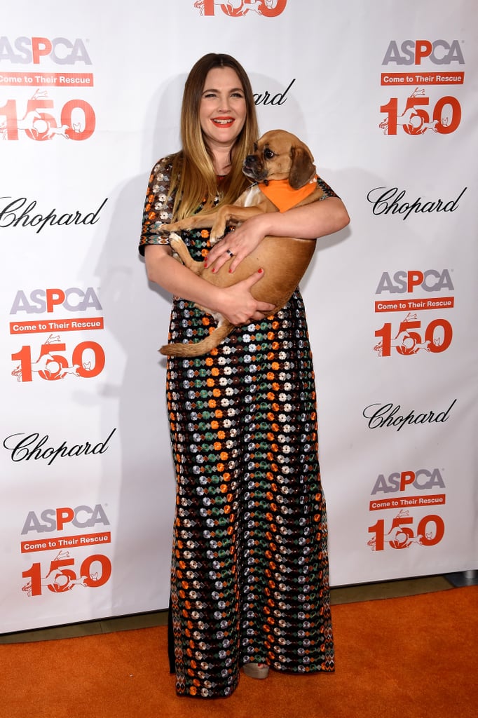 Drew Barrymore at ASPCA Bergh Ball 2016 Pictures