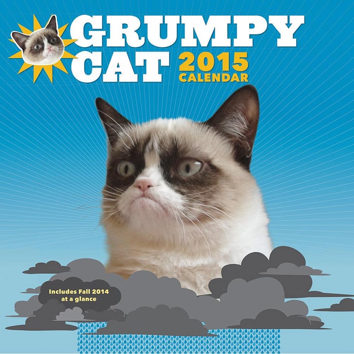 Grumpy Cat Calendar ($14) | Geeky 2015 Calendars | POPSUGAR Tech Photo 10